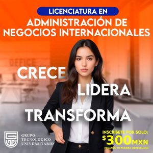 Lic en administracion de negocios internacionales