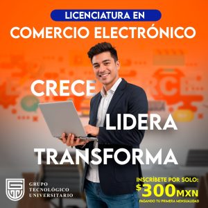 Licenciatura en Comercio electronico