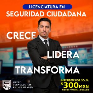 Seguridad Ciudadana